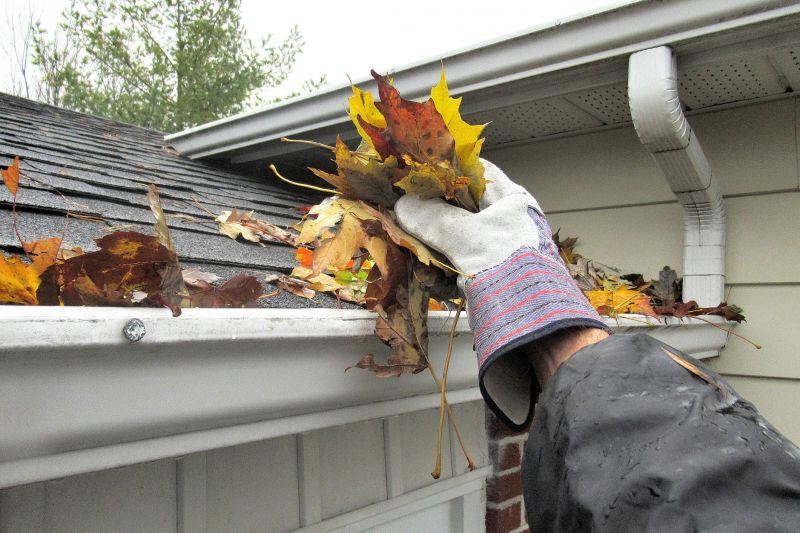 Late Summer Gutter Inspection